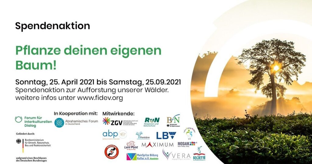 Aufforstung unserer Wälder